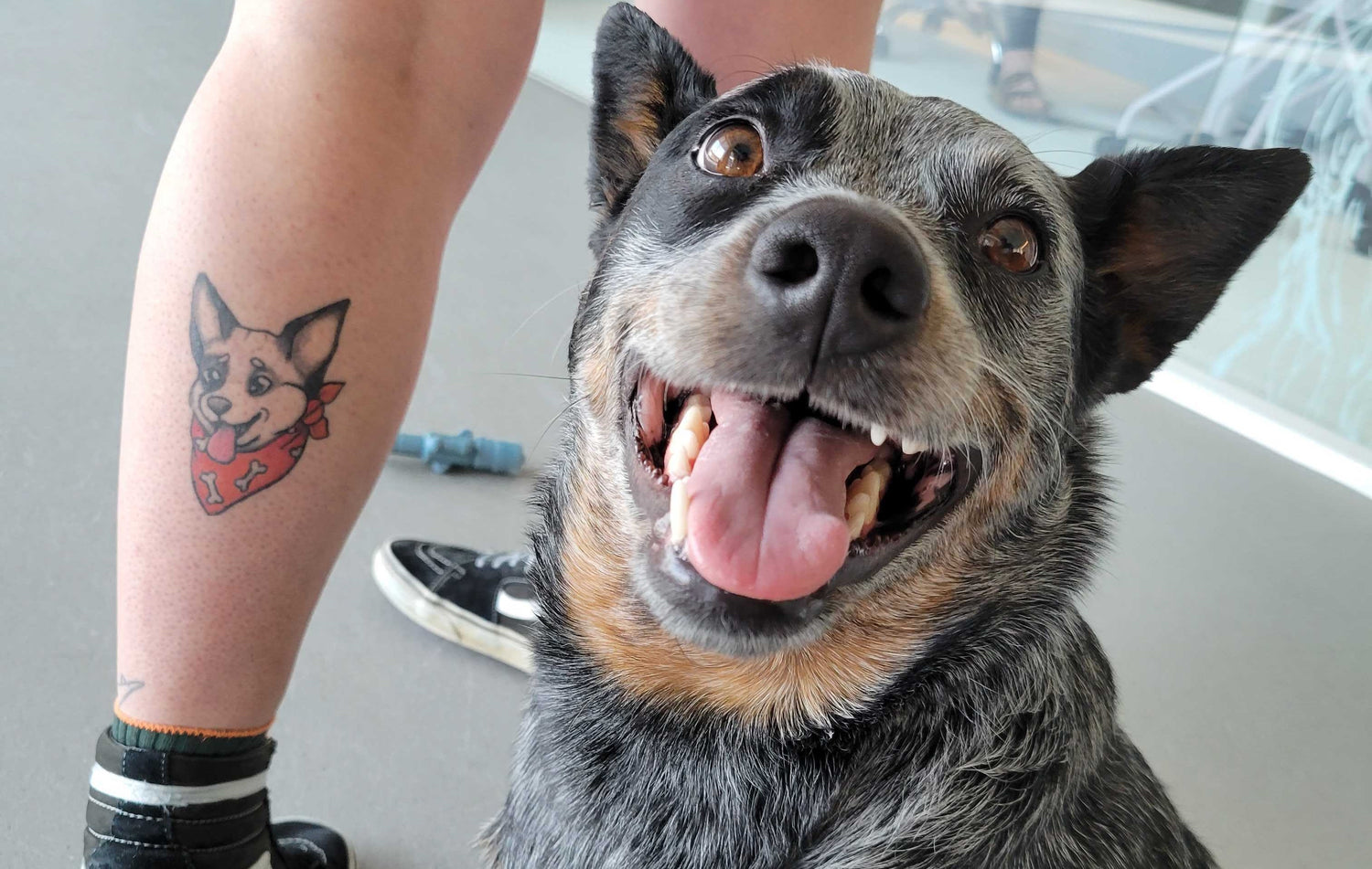 BARK Celebrates National Dog Day with Third Annual Tattoo Contest, Awarding Humans with Ink Inspired By Their Dogs