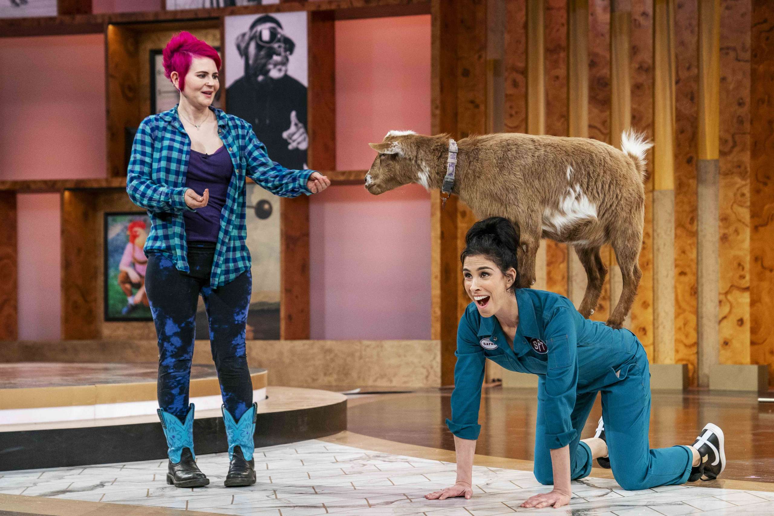 Sarah Silverman Champions Pet Shenanigans in New TV Show