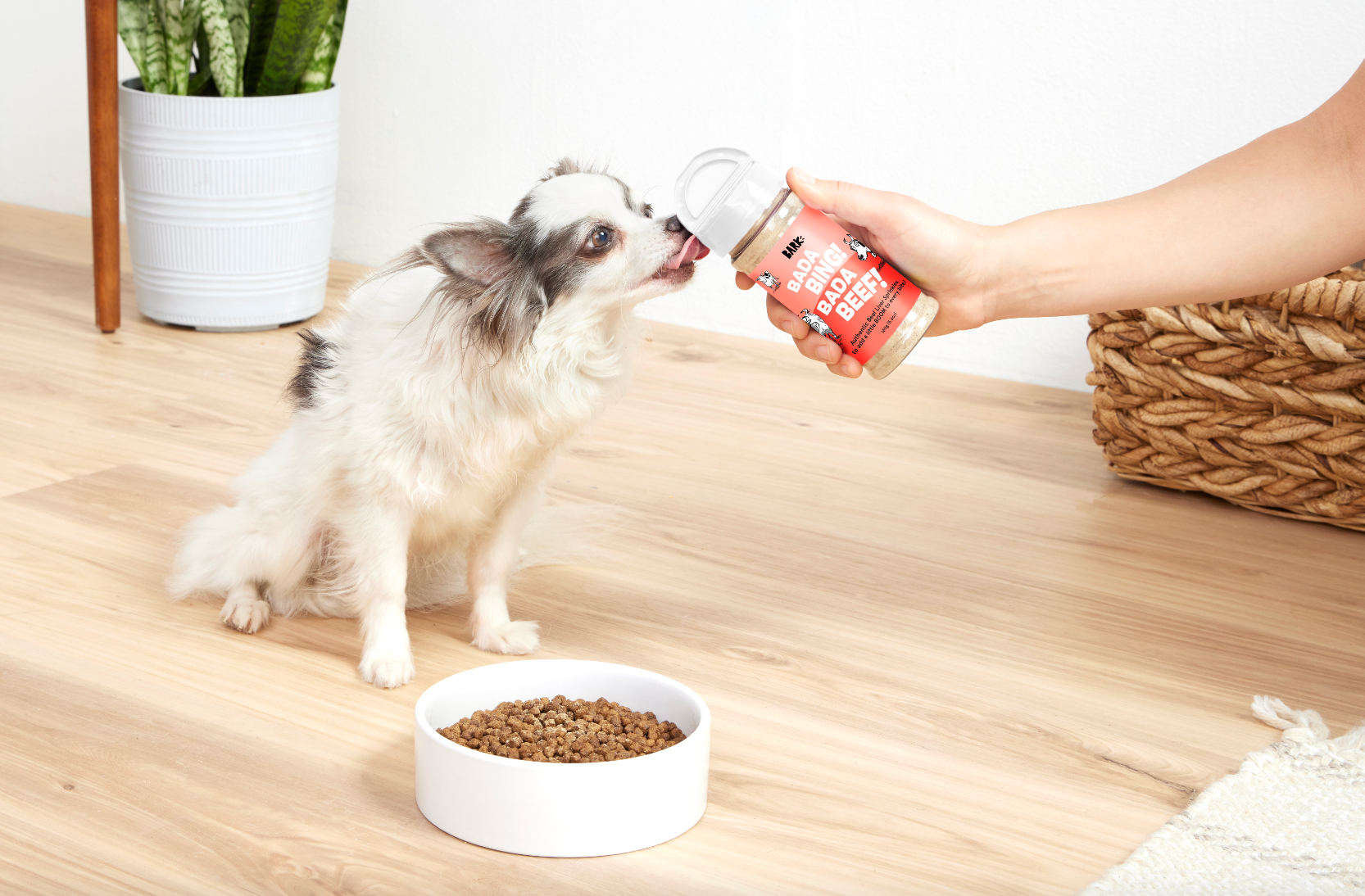 10 Best Dog Food Toppers For Picky Eaters In 2024
