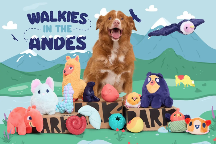 August 2024 BarkBox & Super Chewer Theme Reveal: Walkies in the Andes!