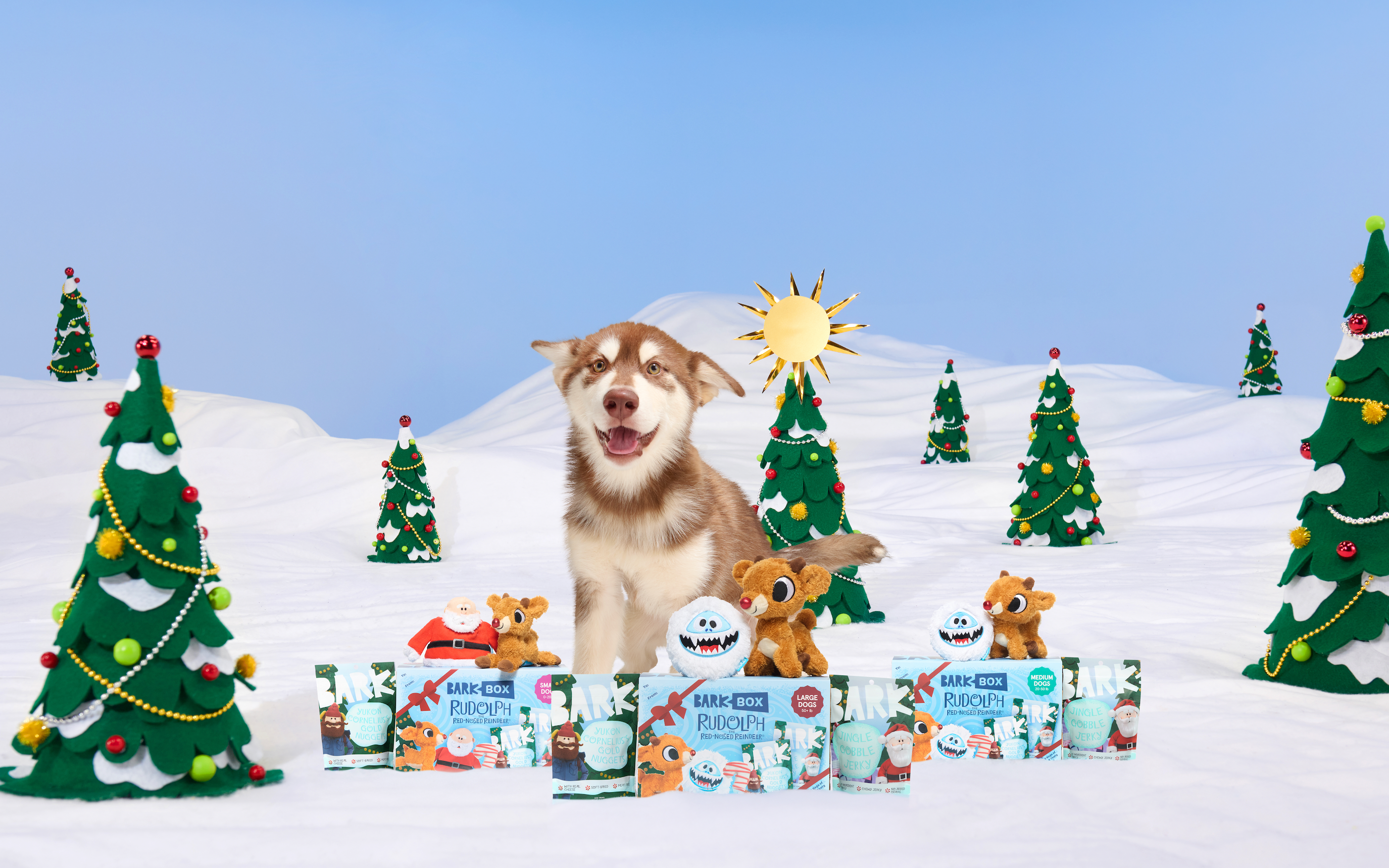 BARK's Rudolph® BarkBox at Target Encourages Adoption of 'Misfit' Dogs