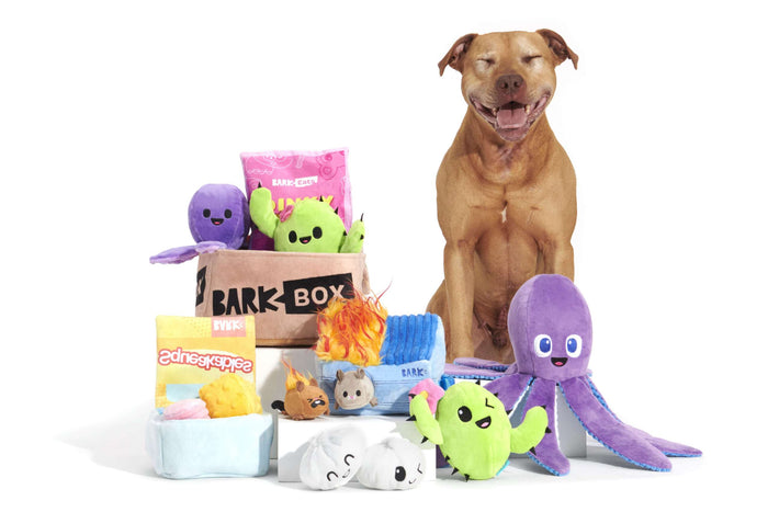 brown dog next to barkbox toys