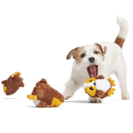 small dog playing with toys