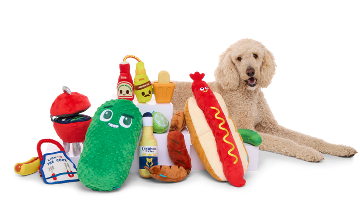 brown dog next to huge barkbox toys