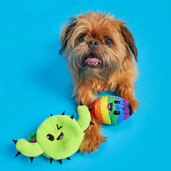 pride dog toy cactus