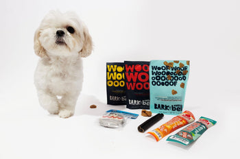 A dog with the contents of an All Treats BarkBox