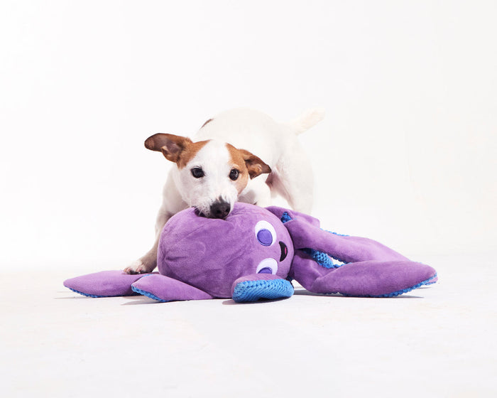 dog with giant purple octopus toy