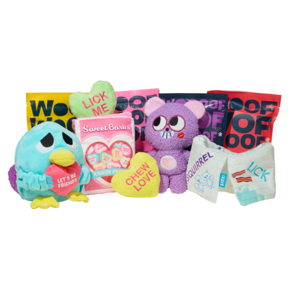 february barkbox display