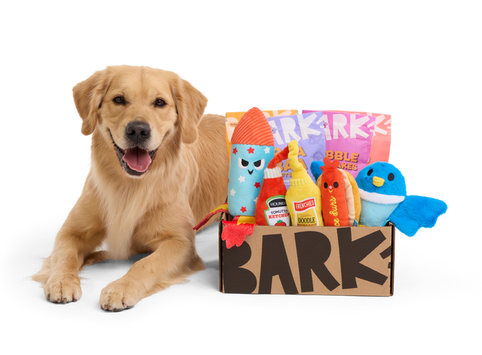 dog next to barkbox toys