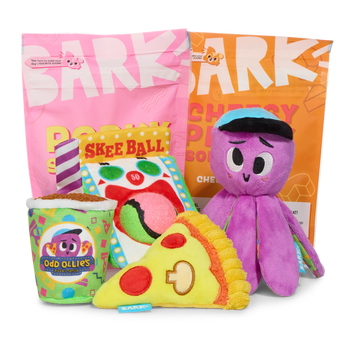 odd ollie barkbox display