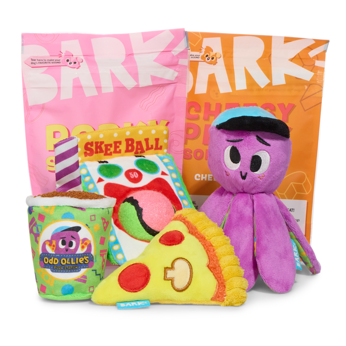 odd ollie barkbox display