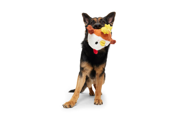 dog with chicken toy