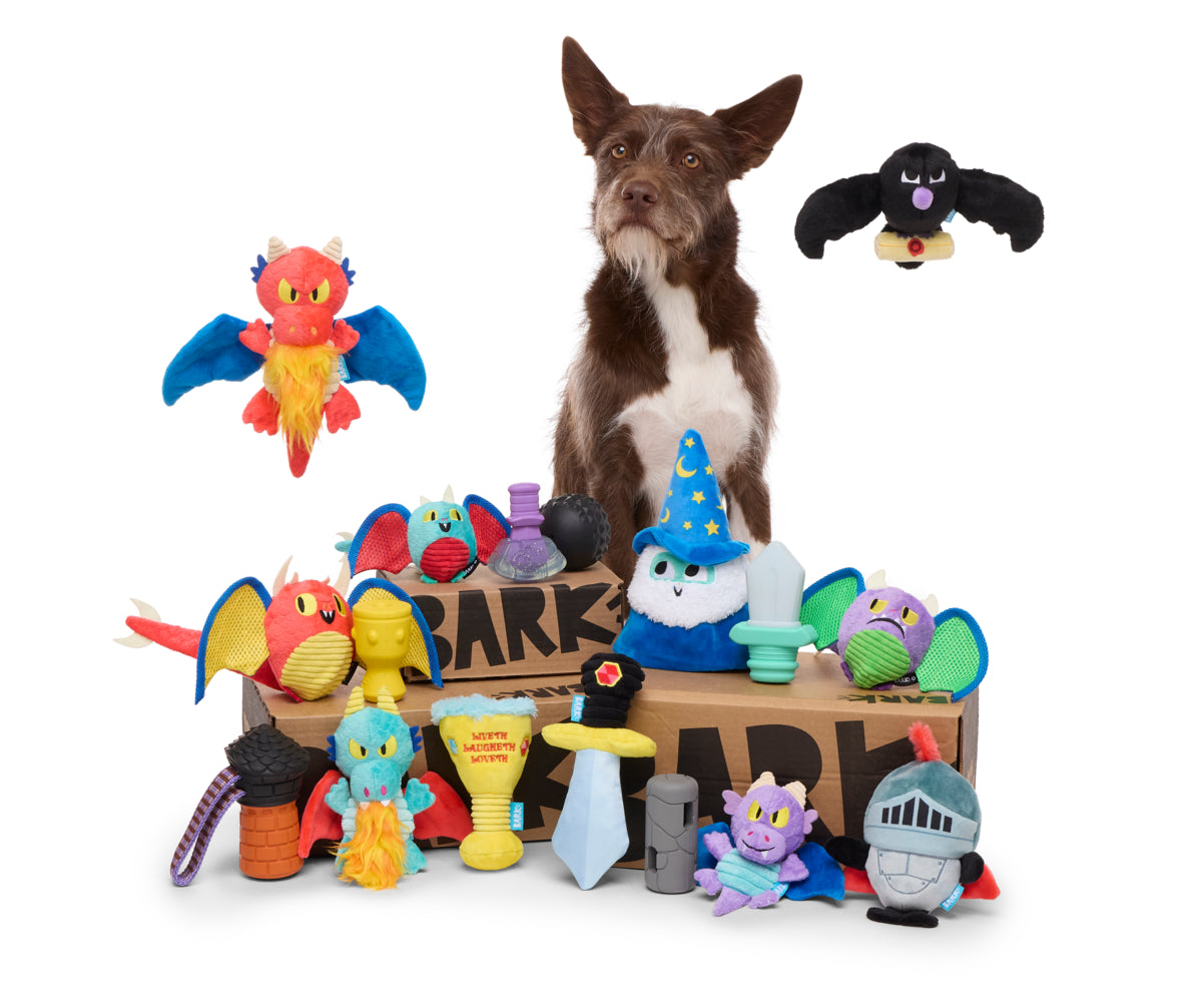April 2025 BarkBox & Super Chewer Theme Reveal: Knights of Gnawmore