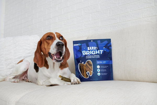 dog next to bag of dental chews