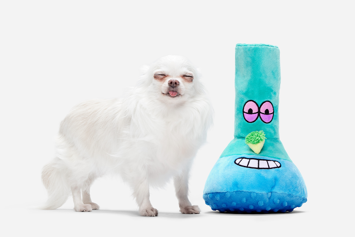 little dog next to bong toy