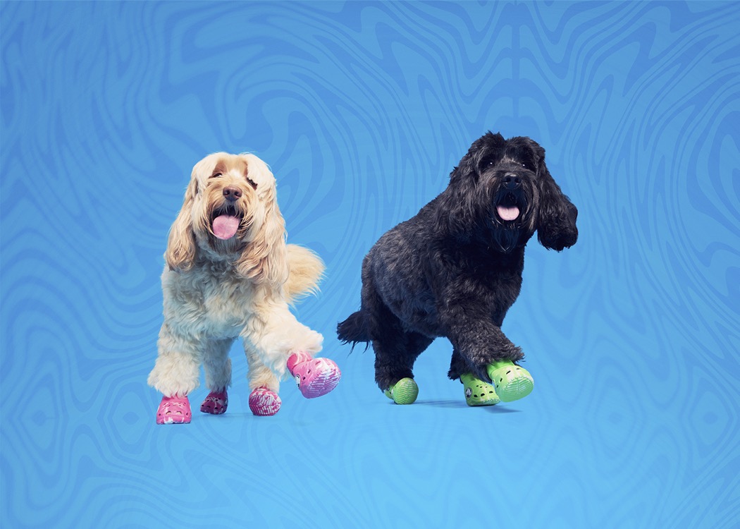 BARK and Crocs Unleash Highly Anticipated Crocs for Dogs