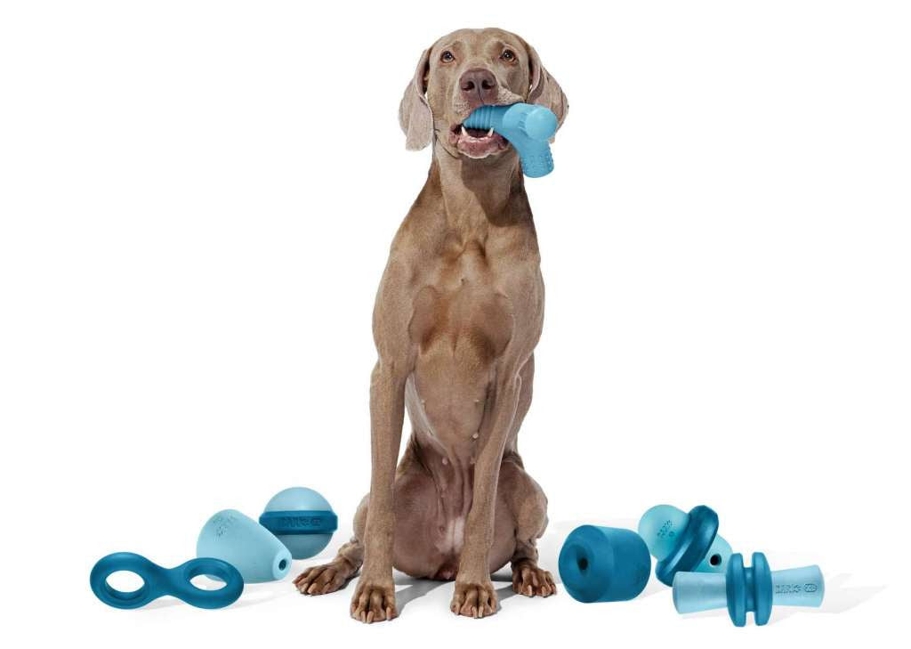 big dog surrounded by dog toys for aggressive chewers