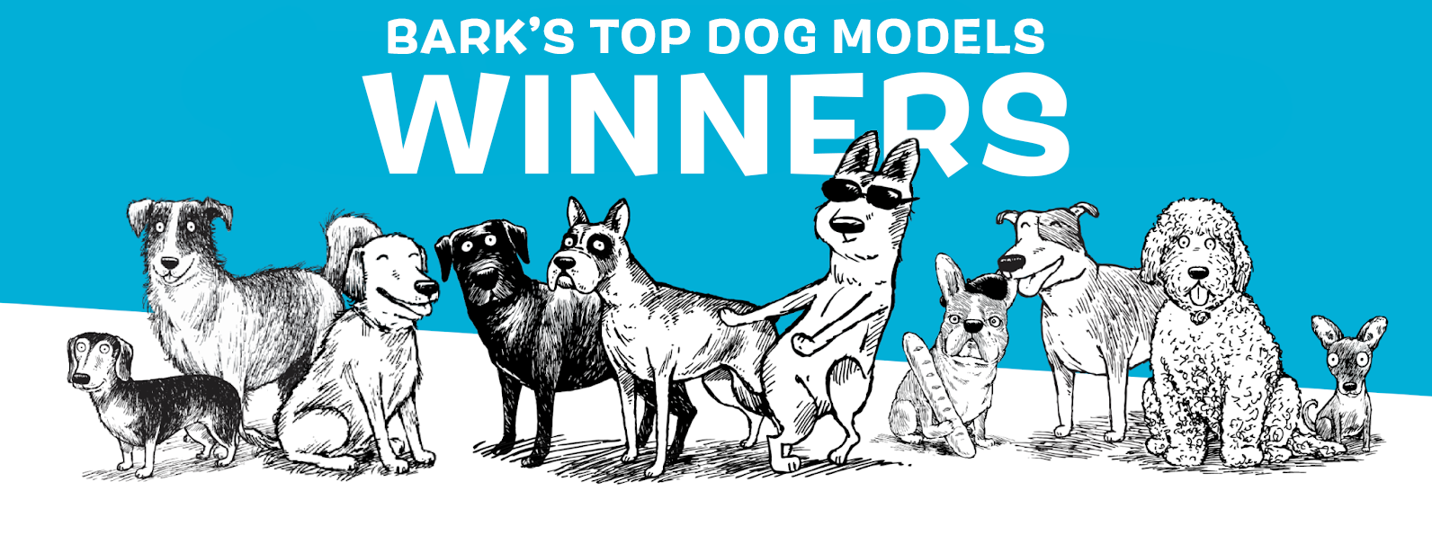 BARK Announces Winners of Next Top Dog Models Contest