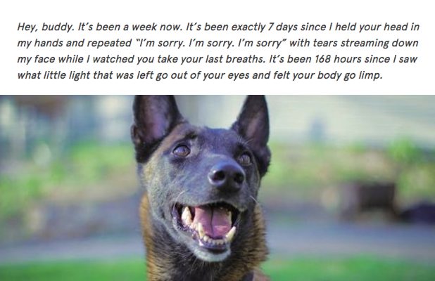 Man Writes Beautiful Love Letter After His Dog Passes Away