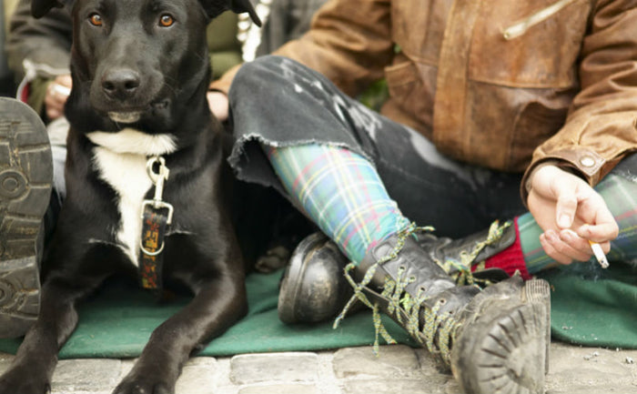 Can Your Dog Tell If You Use Drugs?