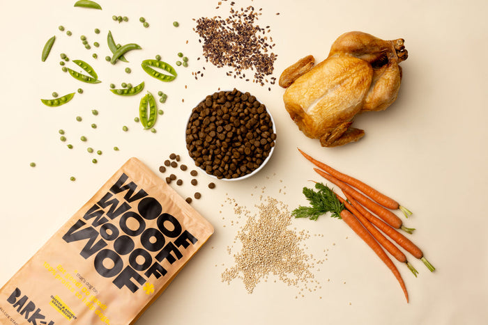 bark in the belly lifestyle image