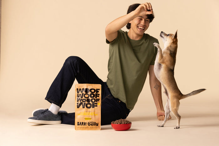 man feeding dog kibble