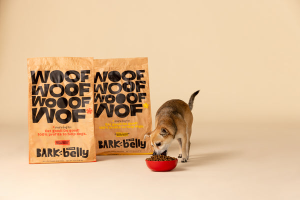 How To Switch To A New Dog Food The Right Way