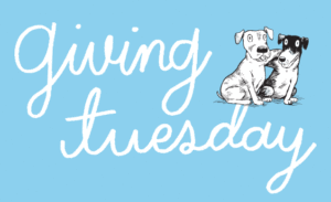 BARK to Help Homeless Pups on #GivingTuesday