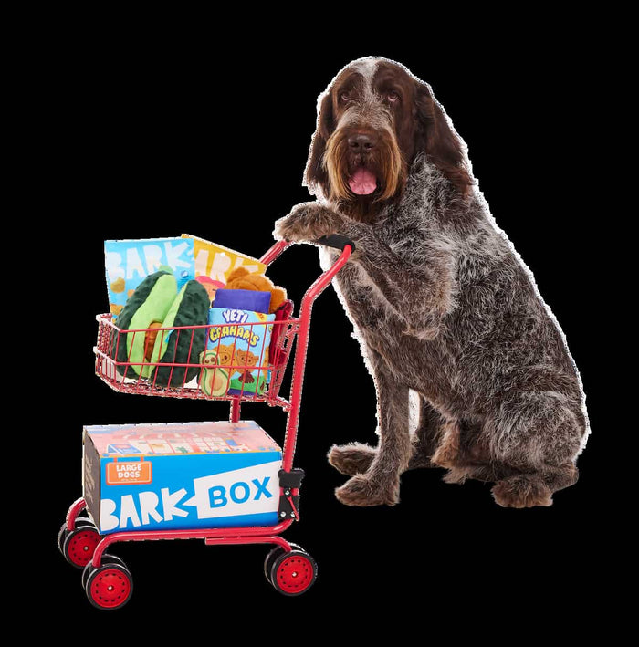 dog with shopping cart
