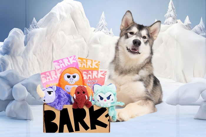 dog next to jan 2025 barkbox