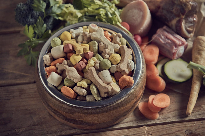 What are Superfoods for Dogs