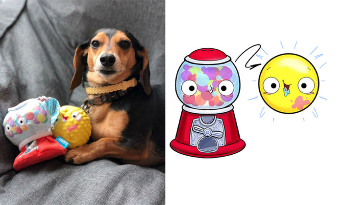 hidden toy in toy dog