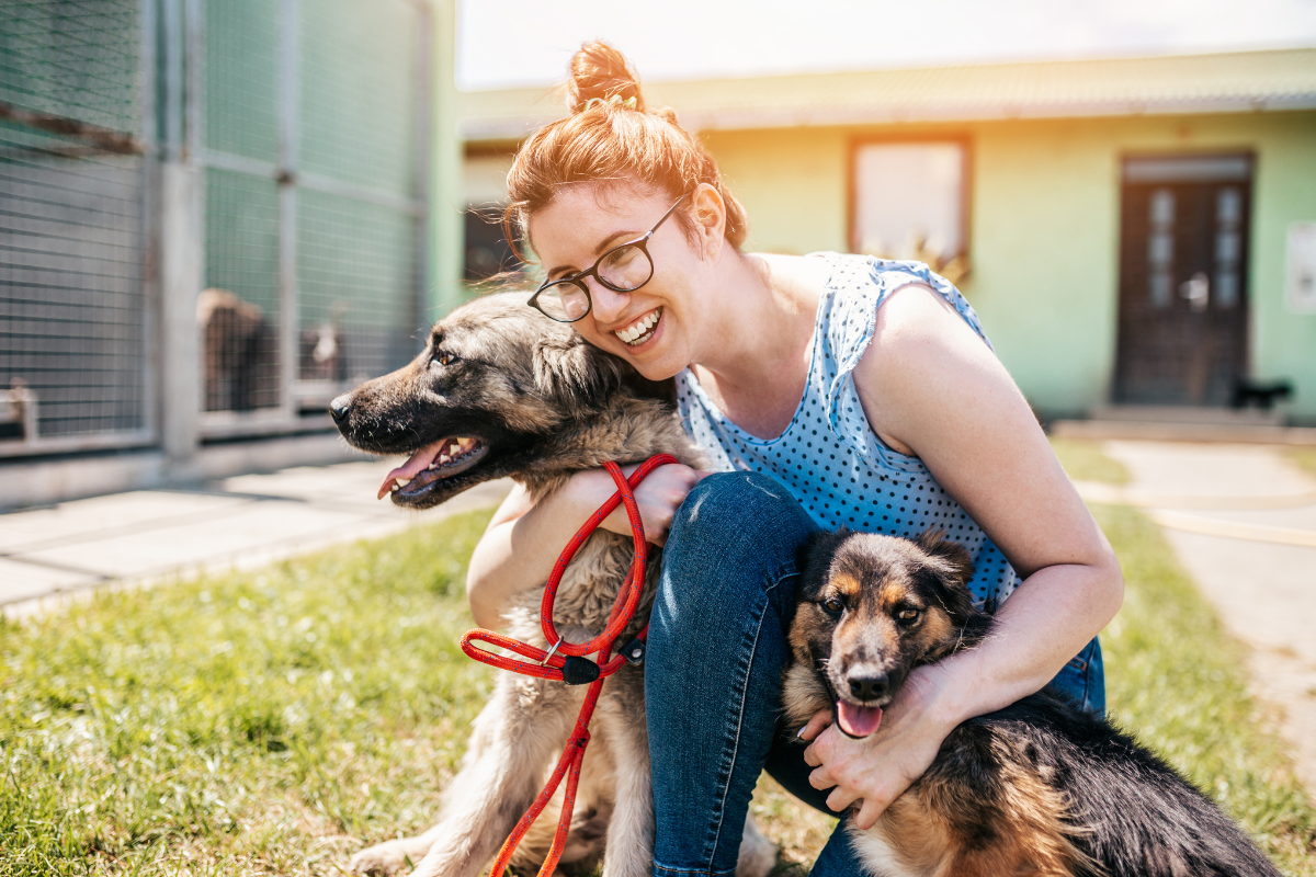 woman hugging rescue dogs