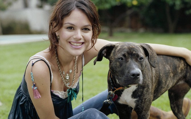 rachel bilson with dog