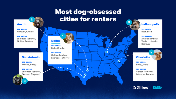 infographic dog cities