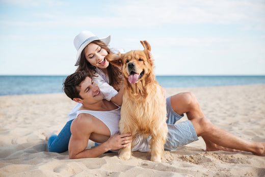 dog and family on beach