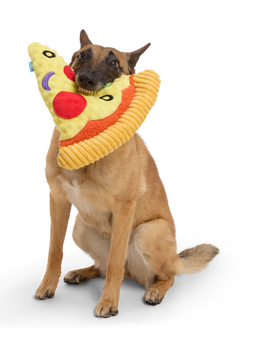 dog with pizza toy