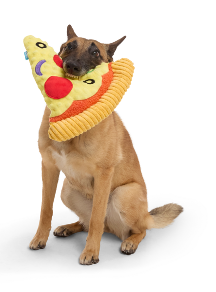 dog with pizza toy