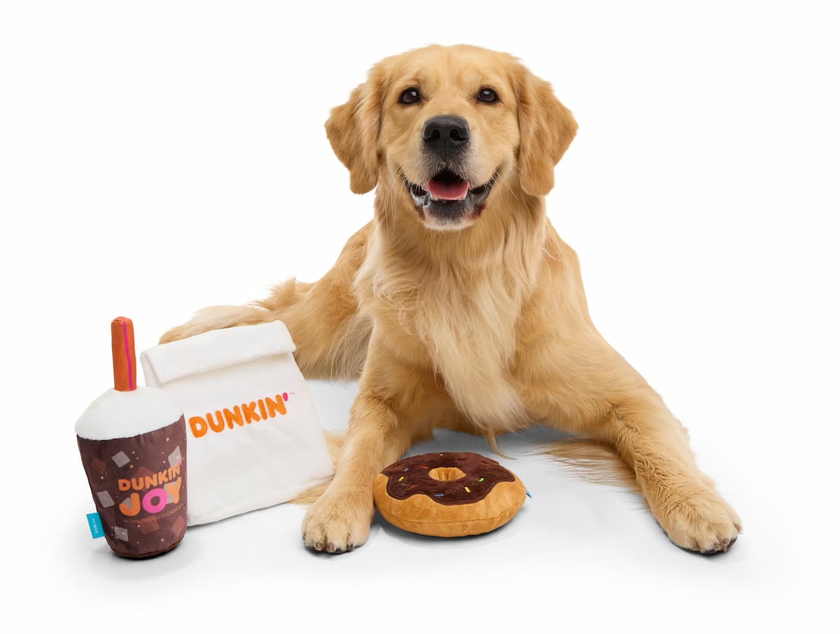 dog with dunkin toys