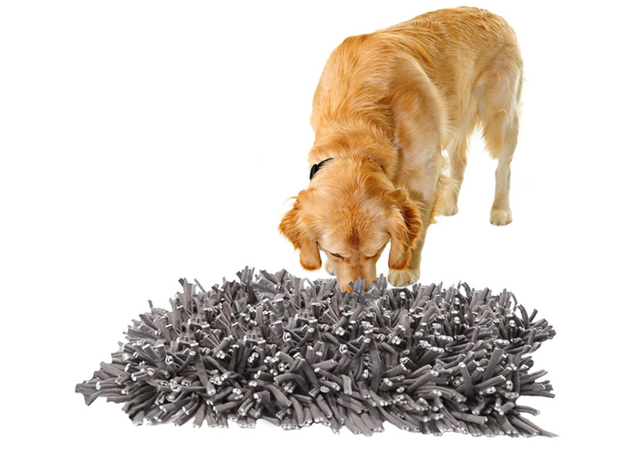 dog using snuffle mat