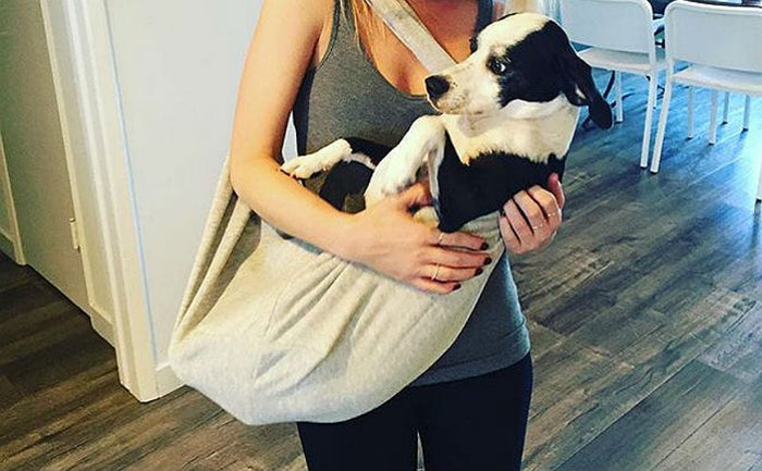 We Call Ourselves Dog Parents, But Do Our Dogs Really Think They're Our Kids?