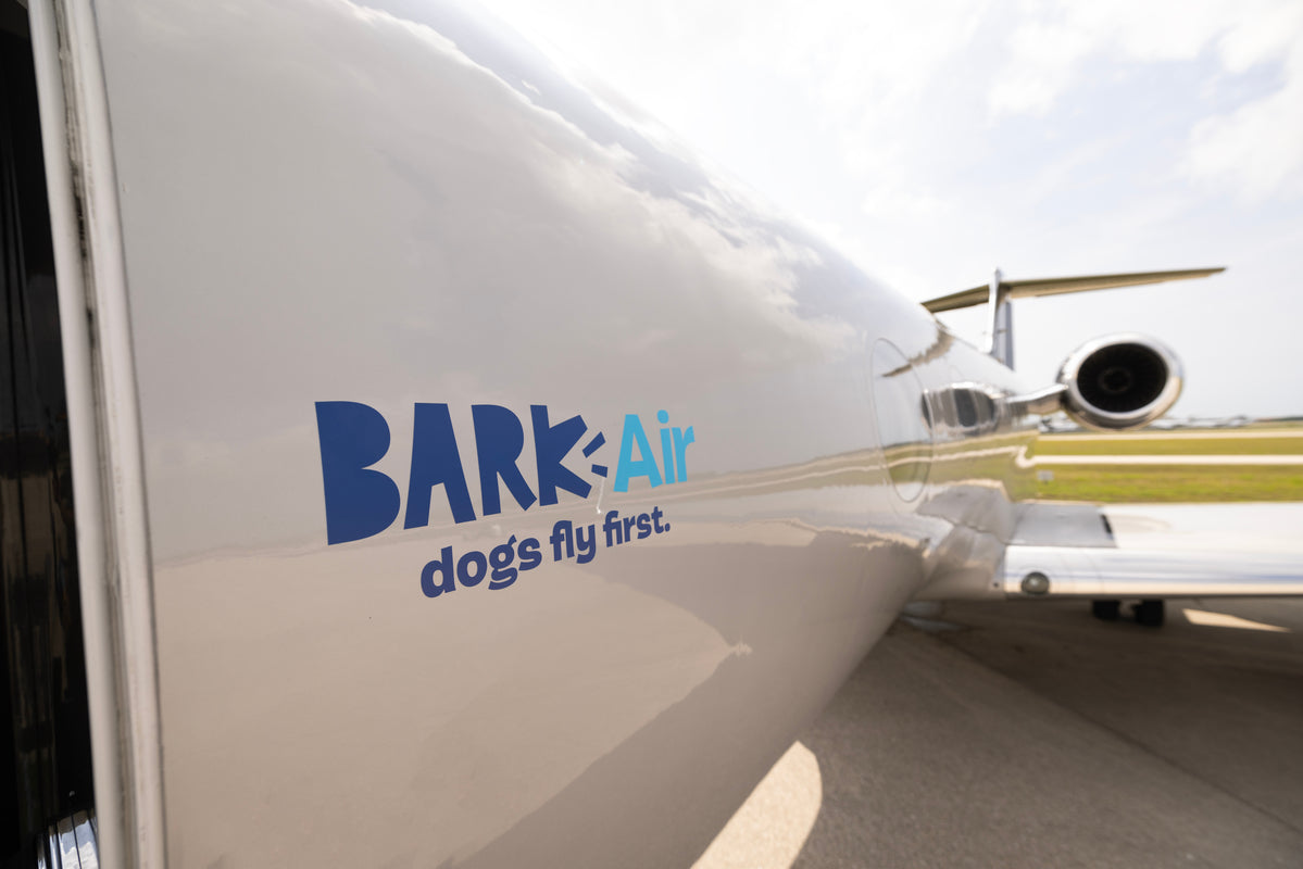 bark air plane