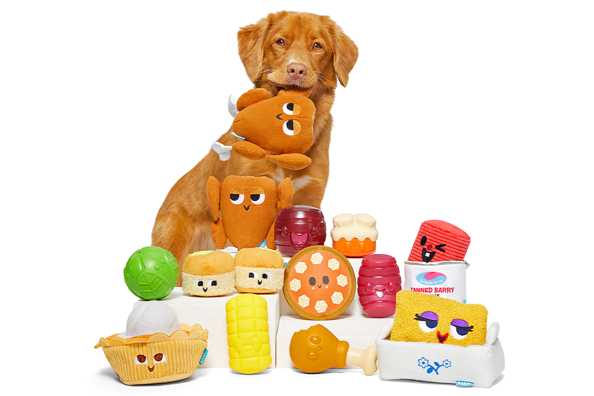 November 2023 BarkBox & Super Chewer Theme Reveal: Thanksgiving Dinner