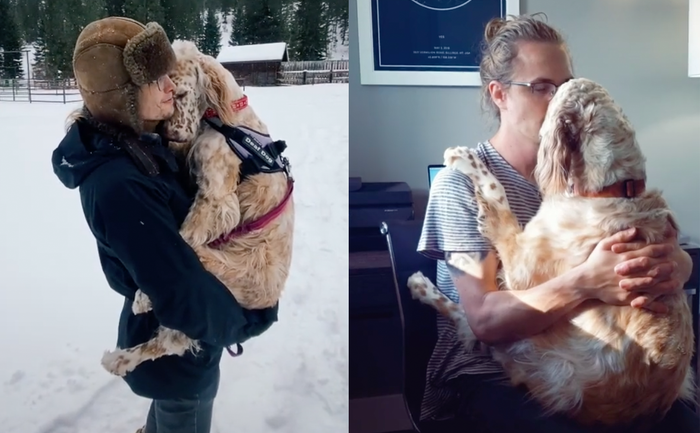 Special Needs Dog Toot Toot Is The Clingiest Girl In The World