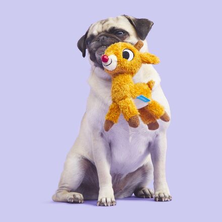 Runnin' Rudolph® Plush Tug Dog Toy – BARK