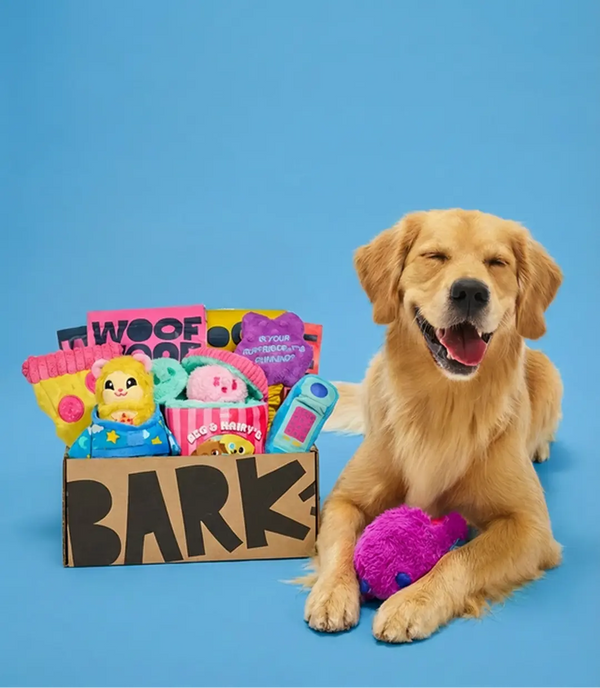 Free Toys for a Year!