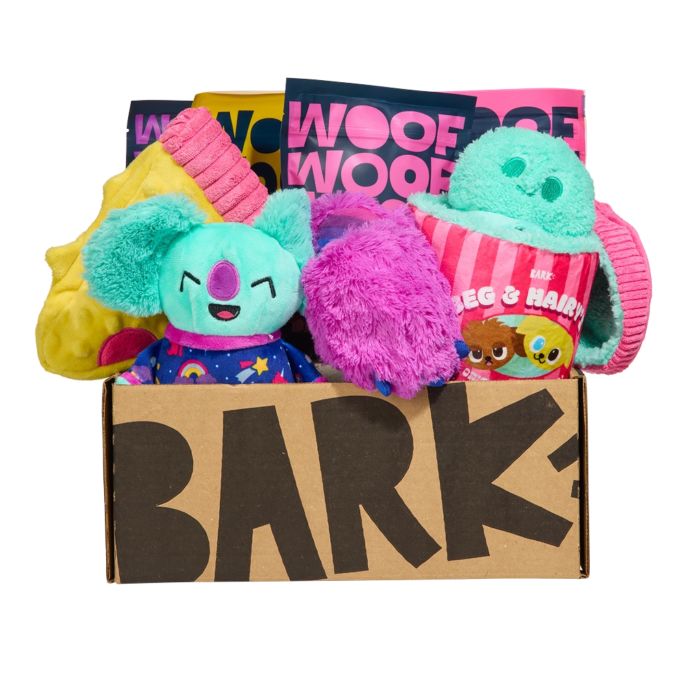 BARK 6 Month Subscription - FREE Extra Toys