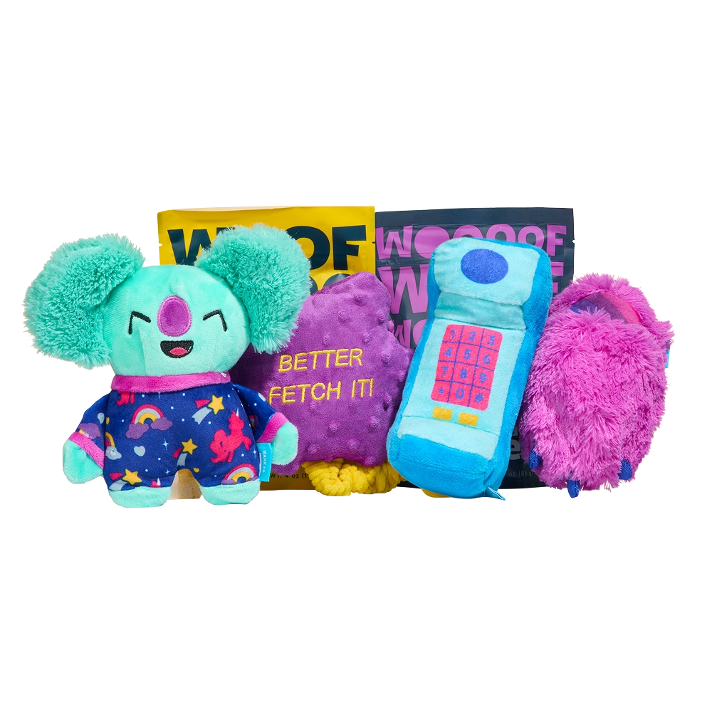 BARK 6 Month Subscription - FREE Extra Toys