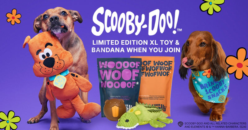 Tough Toys Delivered   Every Month