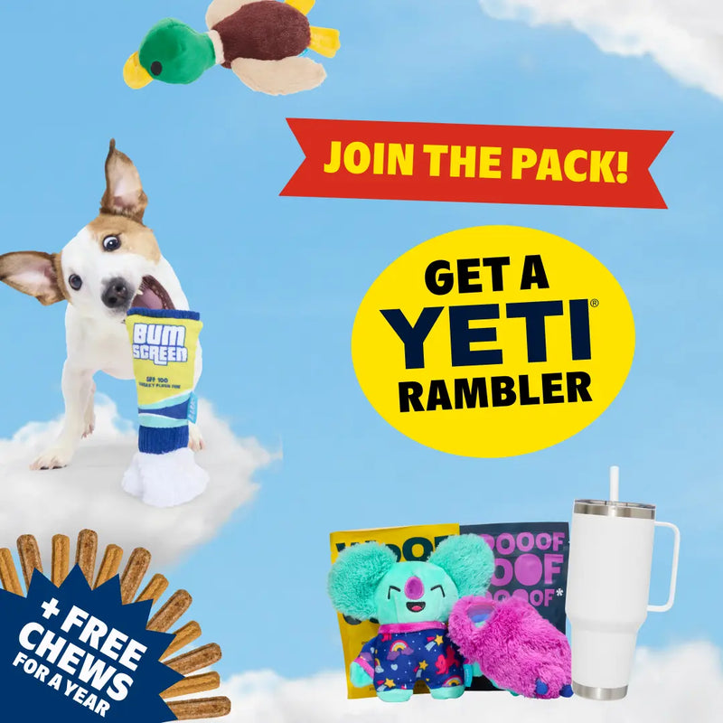 Dog Joy Delivered Every Month